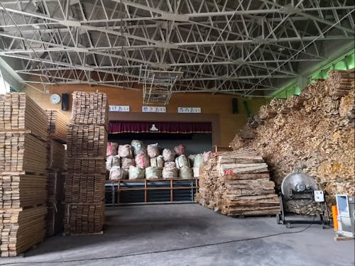 ボイラー由来の熱で木材を乾燥しています(元中学校体育館)