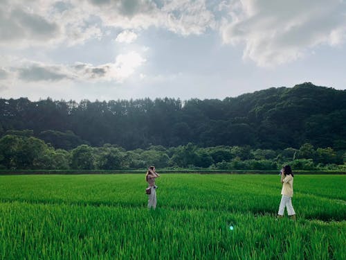 ネギ農家で実施した農業体験