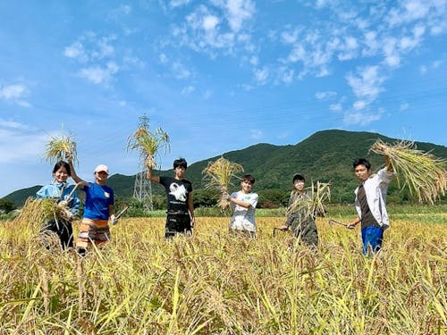 田んぼのオーナー制度、みんなで自分の米を作る