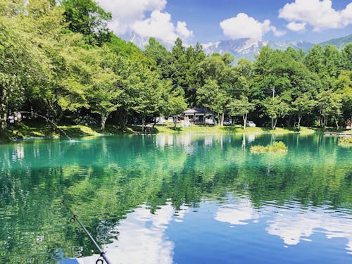 ニレ池フィッシングセンター