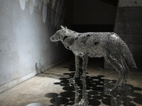 2021年ビエンナーレ開期中の様子