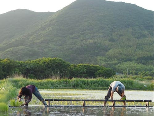 田んぼと畑付きの田舎シェアハウスです