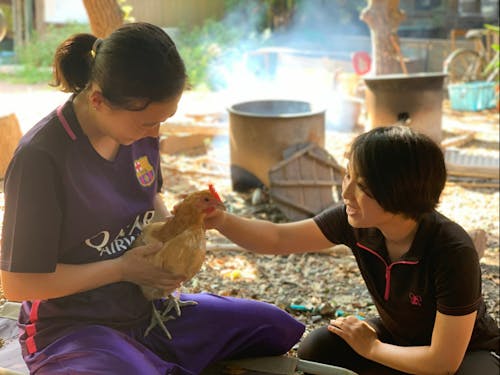 育てた鶏を解体し、命をいただきます。食の原点を見つめる経験。
