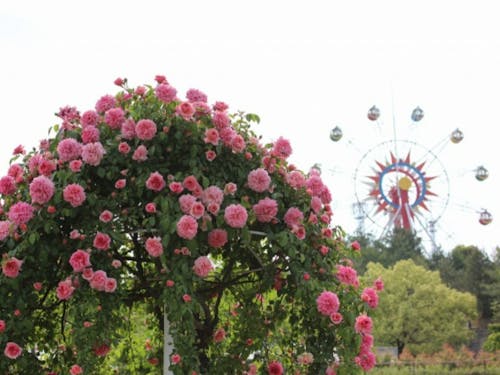 蜂ケ峯総合公園