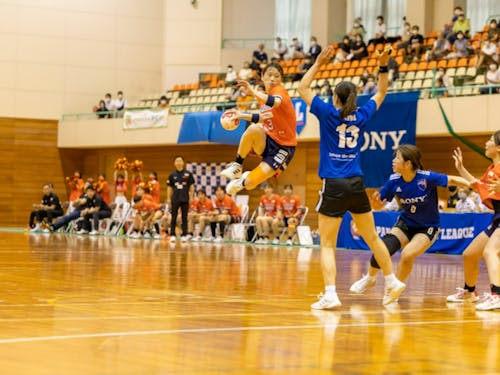 実業団ハンドボールチーム「アランマーレ」