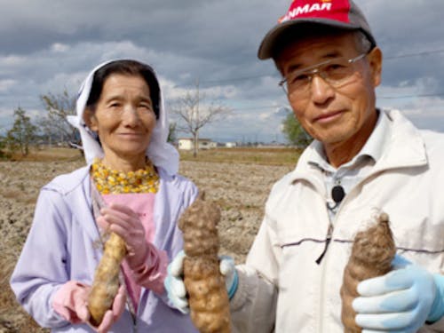 黒川さんと奥様。60年以上現役で高品質の山芋を栽培されています