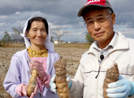 黒川さんと奥様。60年以上現役で高品質の山芋を栽培されています