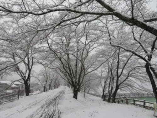 雲南市の冬景色