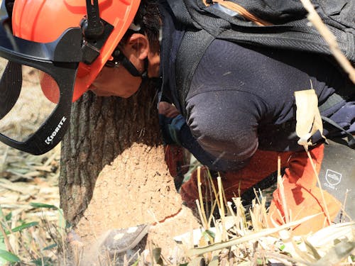 想いがあれば経験・性別を問わず林業の世界に挑戦することも。