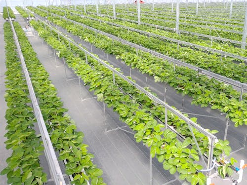 大熊町移住定住支援センターの外観