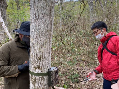 飛騨市の自然を一緒に守りませんか?