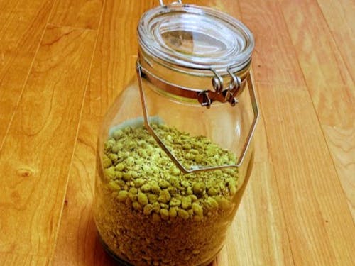 綺麗な緑色に醸された 醤油麹