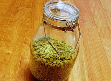 綺麗な緑色に醸された 醤油麹