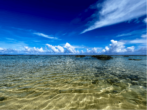 晴れた日の透明度は格別です!
