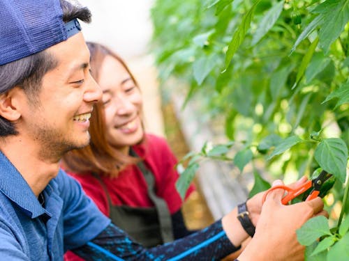 移住した就農研修生夫婦