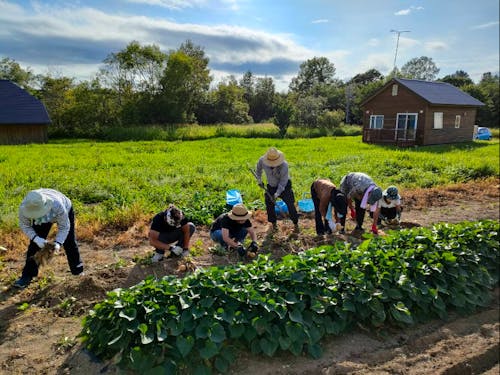 セカンドホームで農作業の様子