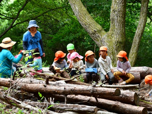 自然の中での保育