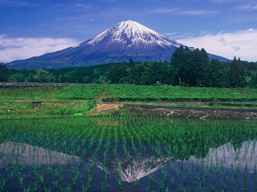 富士宮市から見る富士山