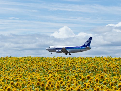 空港から近く東京からも行き来しやすい立地です