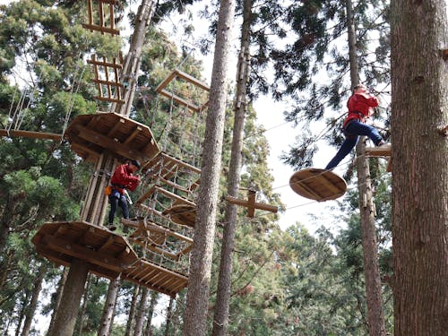 フォレストアドベンチャー・栗東