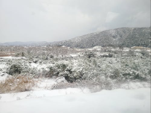 市役所横の冬景色!