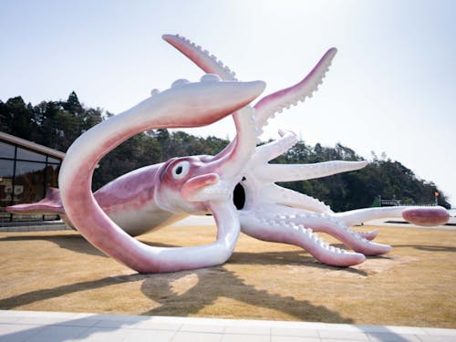 鮮度抜群の船凍イカは一度食べてみて欲しいです