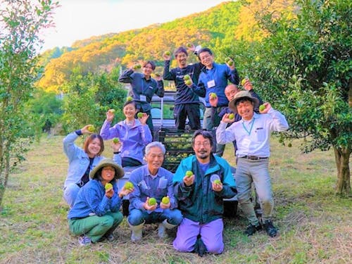 『地域おこし協力隊定例会』でおこなった“ゆずの収穫”。