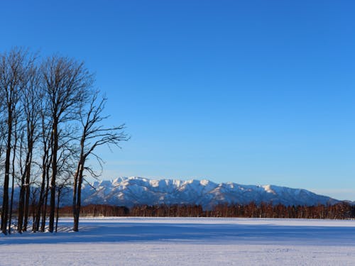 樺戸連山の美しい山並みを望むことができる