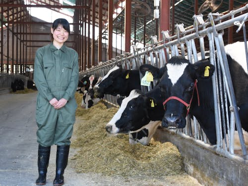 北海道移住を成功させて酪農牧場で働く方も多いです!