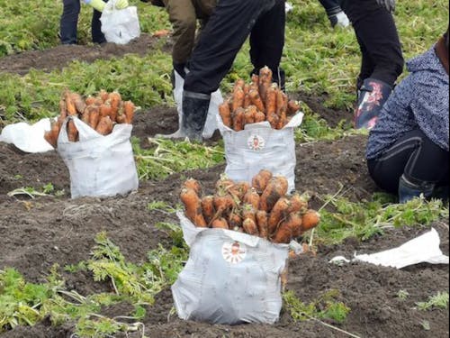 ちょっと詰め込みすぎ！笑