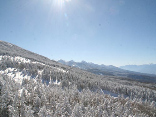 北八ヶ岳ロープウェイからの八ヶ岳