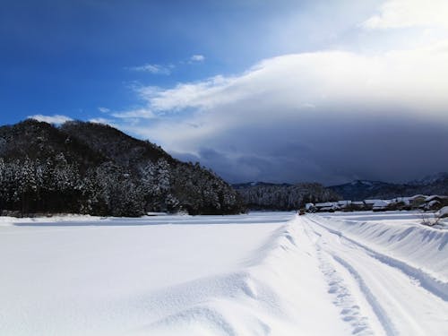 自然豊かな美しい雪景色（加賀市）
