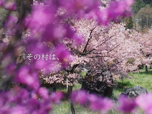 四季折々の花が村内のあちらこちらに咲き乱れます。 ウォーキングやサイクリングで村内をくまなく散策できます。