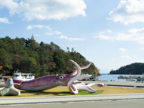 イカが有名な地域です