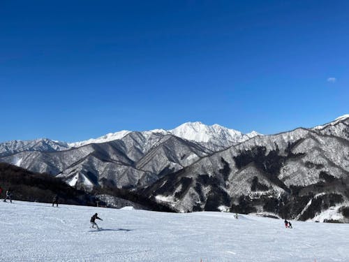冬のみなかみ町を存分に味わってみませんか?