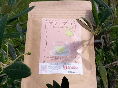 龍谷大学と開発したオリーブ茶