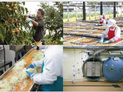 農業生産・農産加工・フリーズドライ加工で持続可能な農業を目指し、SDGs に取り組んでいます。