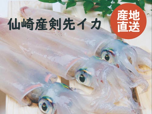 剣先イカ