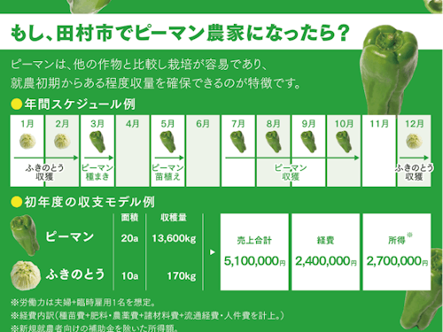 ＜ピーマンでの就農モデル例＞
