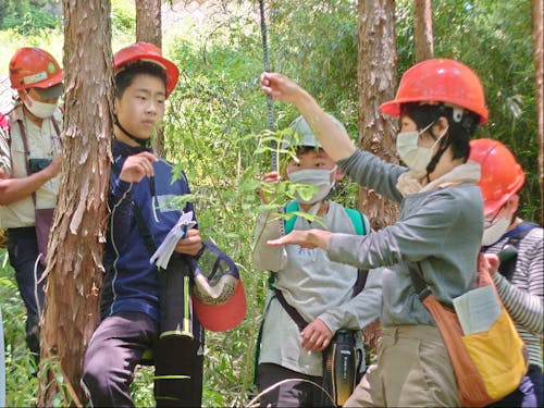 子どもたちの真剣な表情を見守るのが主なお仕事になります