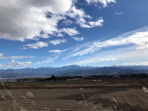 雄大な自然に抱かれた伊那市で、3人の隊員はどんな活動をしたのでしょうか?