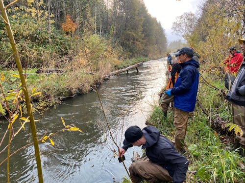 イベント「水辺の小さな自然再生」