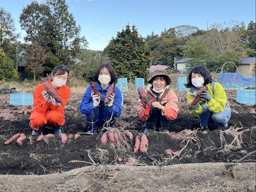 体験ツアーの様子