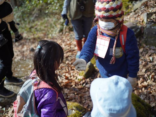 いいもの見つけた。