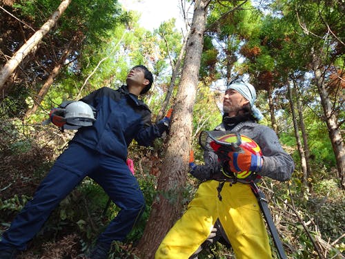 第一次産業現場で働く島体験生の様子