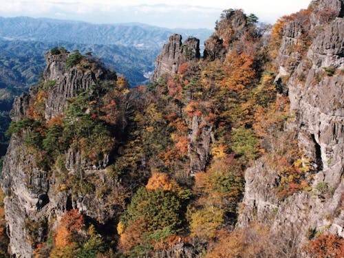 伊達市の霊峰霊山!