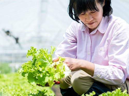 農薬を使わない有機栽培を求めて那須町に移住した方も!