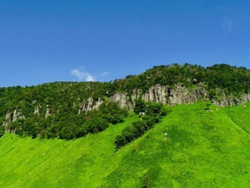 山も近く、自然に囲まれた環境があります