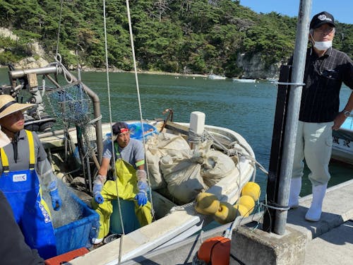 (漁業)地域起こし協力隊の先輩