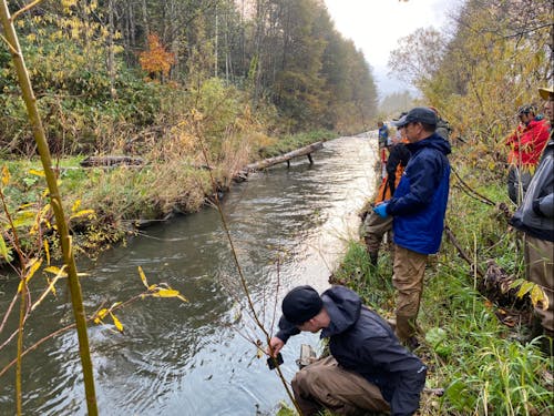 イベント「水辺の小さな自然再生」